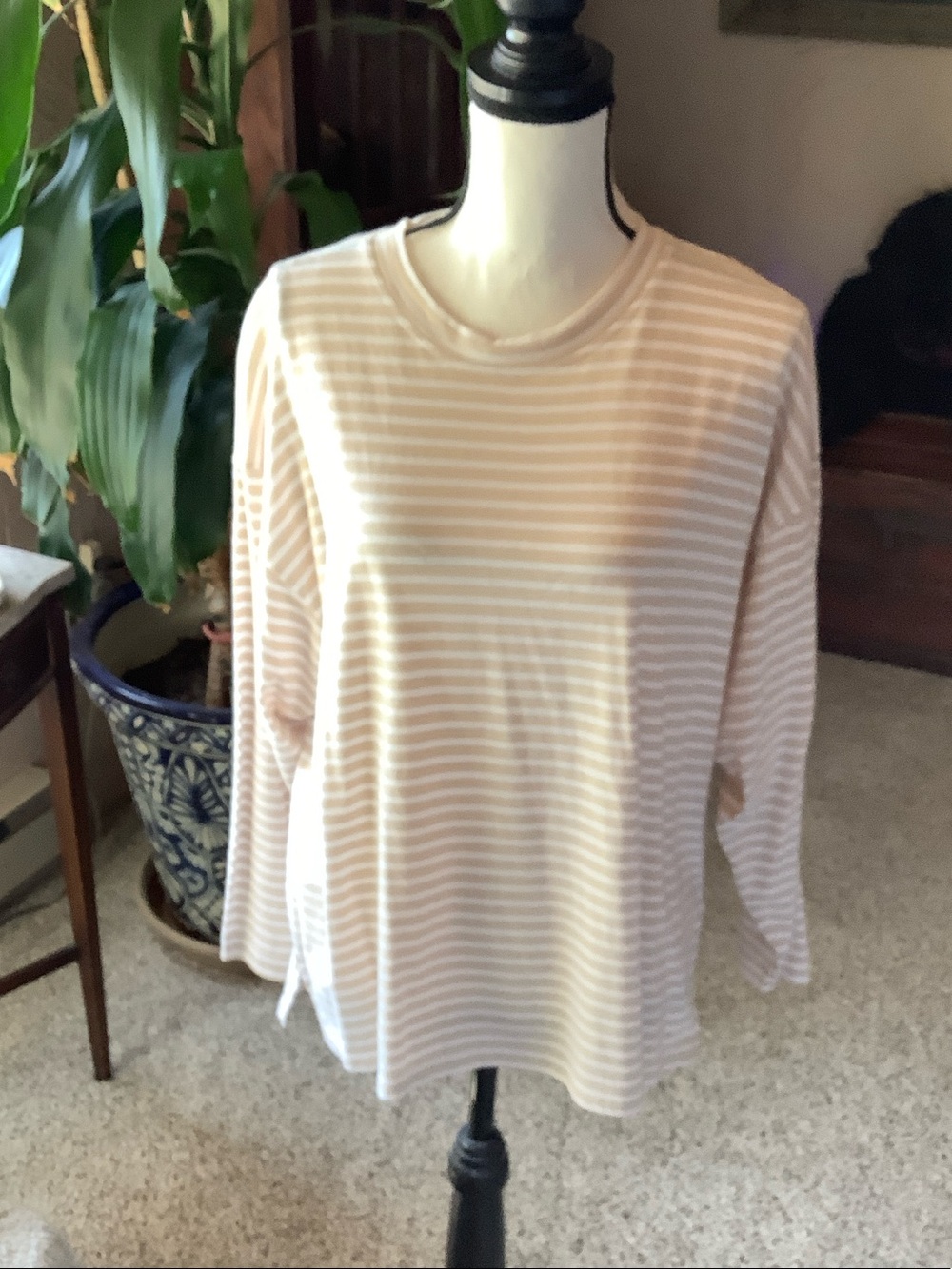 NWOT AYR Striped Long-Sleeve Crewneck Top in Light Tan and White